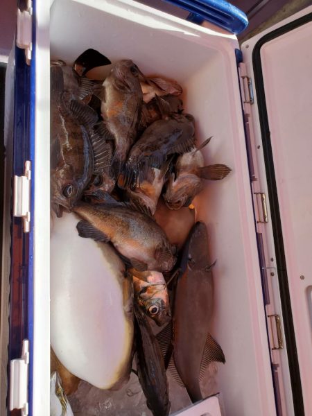 海龍丸（石川） 釣果