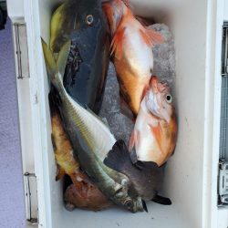 海龍丸（石川） 釣果