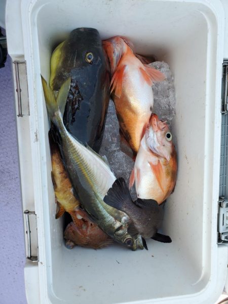 海龍丸（石川） 釣果