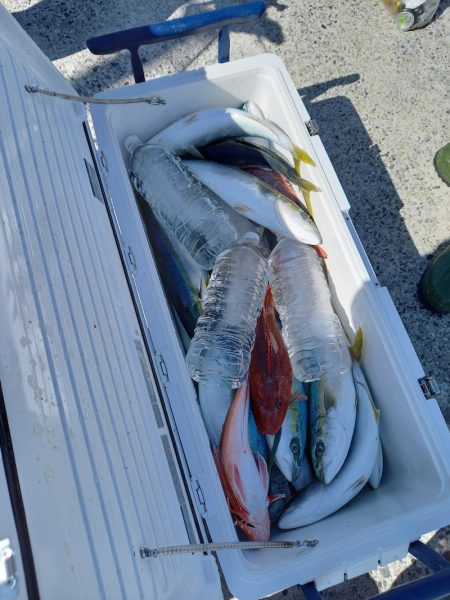 ありもと丸 釣果