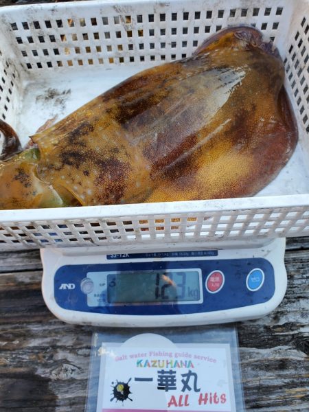 一華丸 釣果
