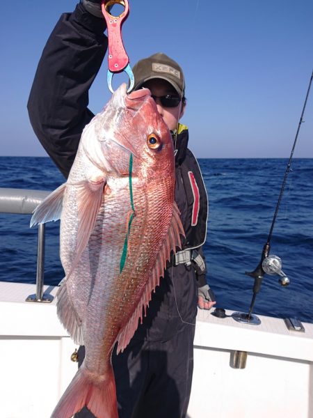 ARCADIAⅡ （アルカディアⅡ） 釣果…