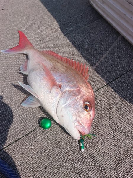 ARCADIAⅡ (アルカディアⅡ) 釣果