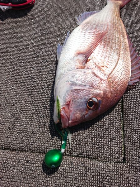 ARCADIAⅡ (アルカディアⅡ) 釣果