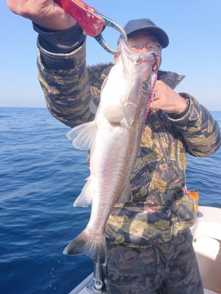 ARCADIAⅡ (アルカディアⅡ) 釣果