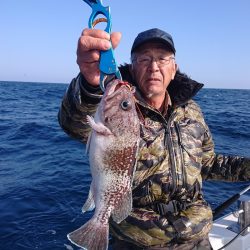 ARCADIAⅡ (アルカディアⅡ) 釣果