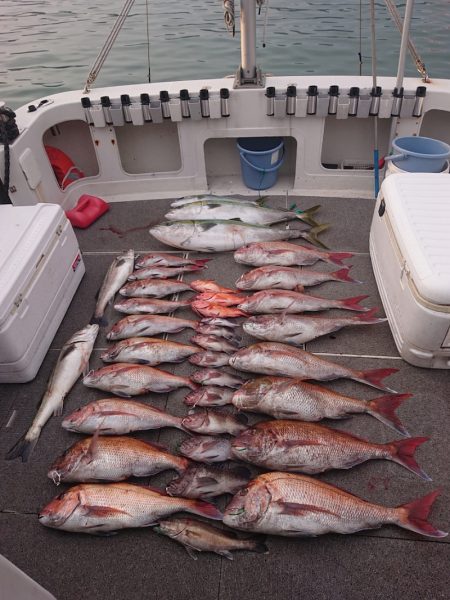 ARCADIAⅡ (アルカディアⅡ) 釣果