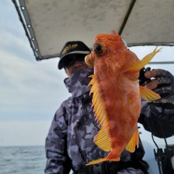 ソルトウォーターガイドフレンズ 釣果