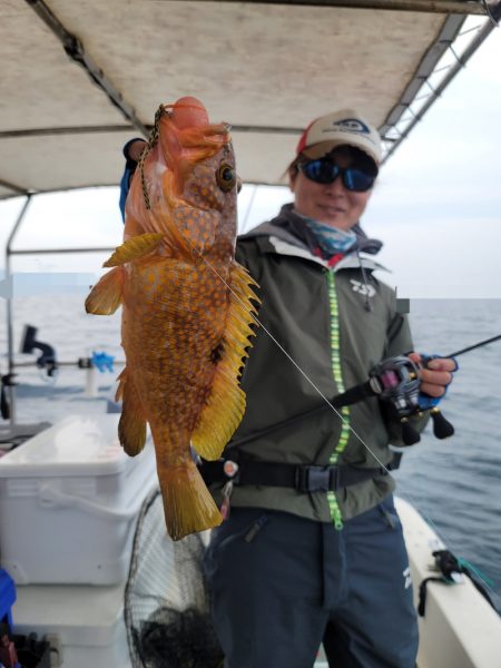 ソルトウォーターガイドフレンズ 釣果