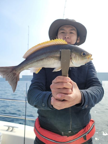 ソルトウォーターガイドフレンズ 釣果