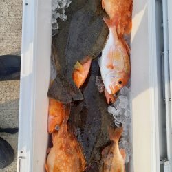 第二龍勢丸 釣果