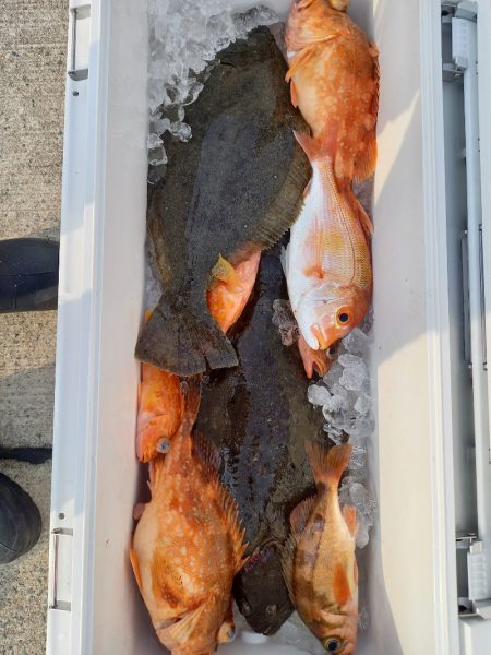 第二龍勢丸 釣果