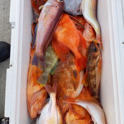 第二龍勢丸 釣果