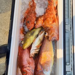 第二龍勢丸 釣果