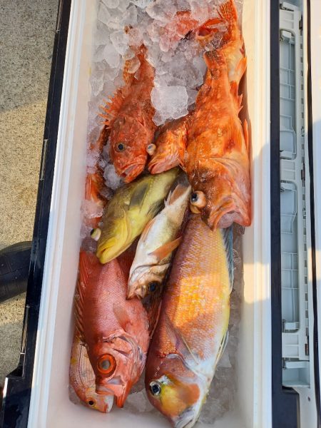 第二龍勢丸 釣果