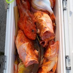 第二龍勢丸 釣果