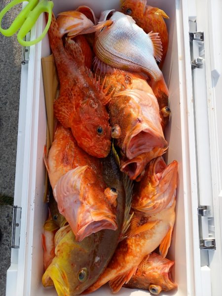 第二龍勢丸 釣果