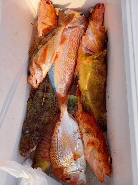 第二龍勢丸 釣果