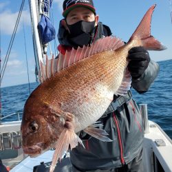 シーライオン 釣果