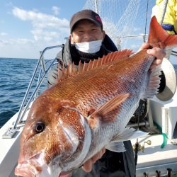 シーライオン 釣果