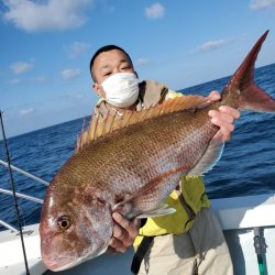 シーライオン 釣果