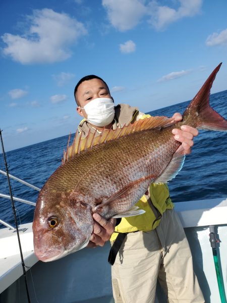 シーライオン 釣果