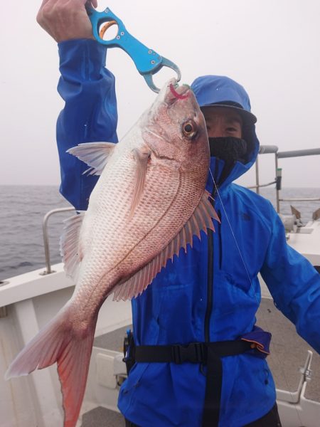 ARCADIAⅡ （アルカディアⅡ） 釣果