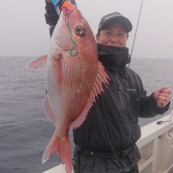 ARCADIAⅡ （アルカディアⅡ） 釣果