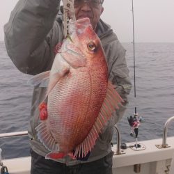 ARCADIAⅡ （アルカディアⅡ） 釣果