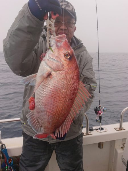 ARCADIAⅡ （アルカディアⅡ） 釣果