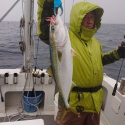 ARCADIAⅡ （アルカディアⅡ） 釣果