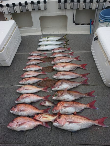 ARCADIAⅡ （アルカディアⅡ） 釣果…