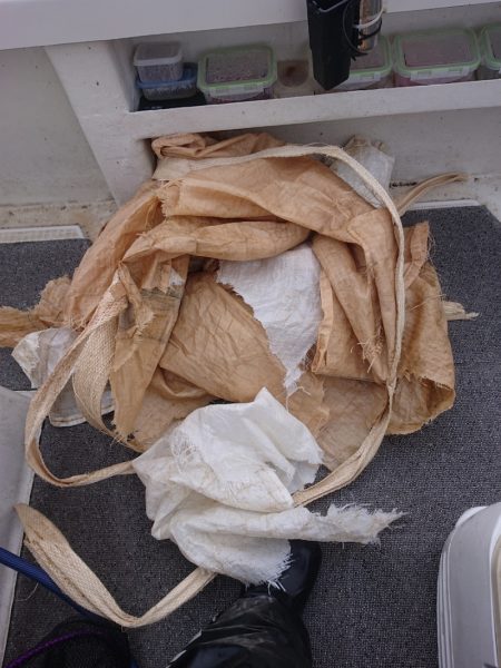 ARCADIAⅡ （アルカディアⅡ） 釣果