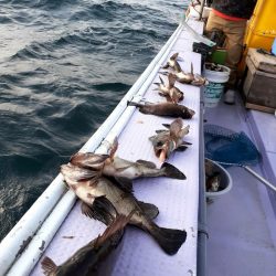 海龍丸（石川） 釣果