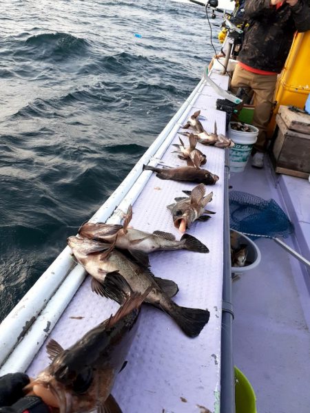 海龍丸（石川） 釣果