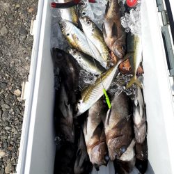 海龍丸（石川） 釣果