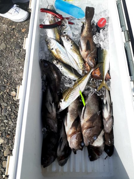 海龍丸（石川） 釣果