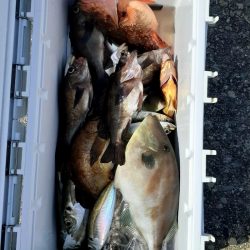 海龍丸（石川） 釣果