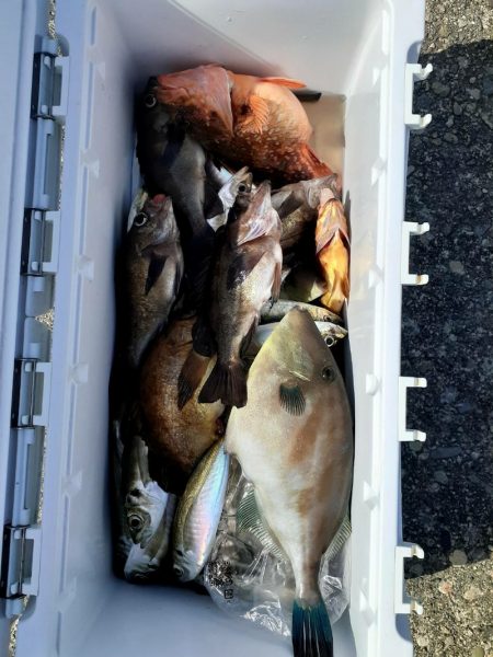 海龍丸（石川） 釣果