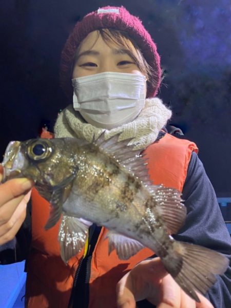 ヤザワ渡船 釣果