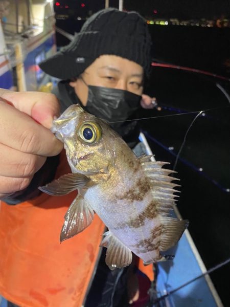ヤザワ渡船 釣果