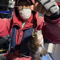 ヤザワ渡船 釣果