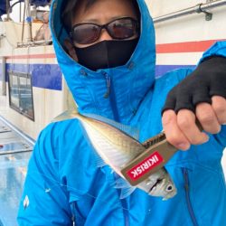 ヤザワ渡船 釣果