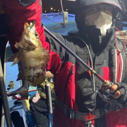 ヤザワ渡船 釣果