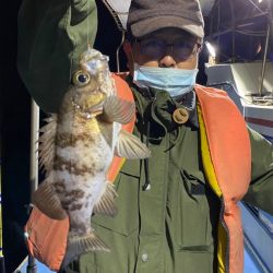 ヤザワ渡船 釣果