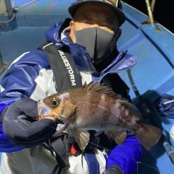 ヤザワ渡船 釣果