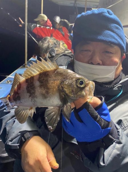 ヤザワ渡船 釣果