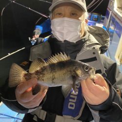 ヤザワ渡船 釣果