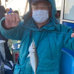 ヤザワ渡船 釣果