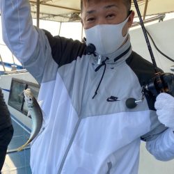 ヤザワ渡船 釣果